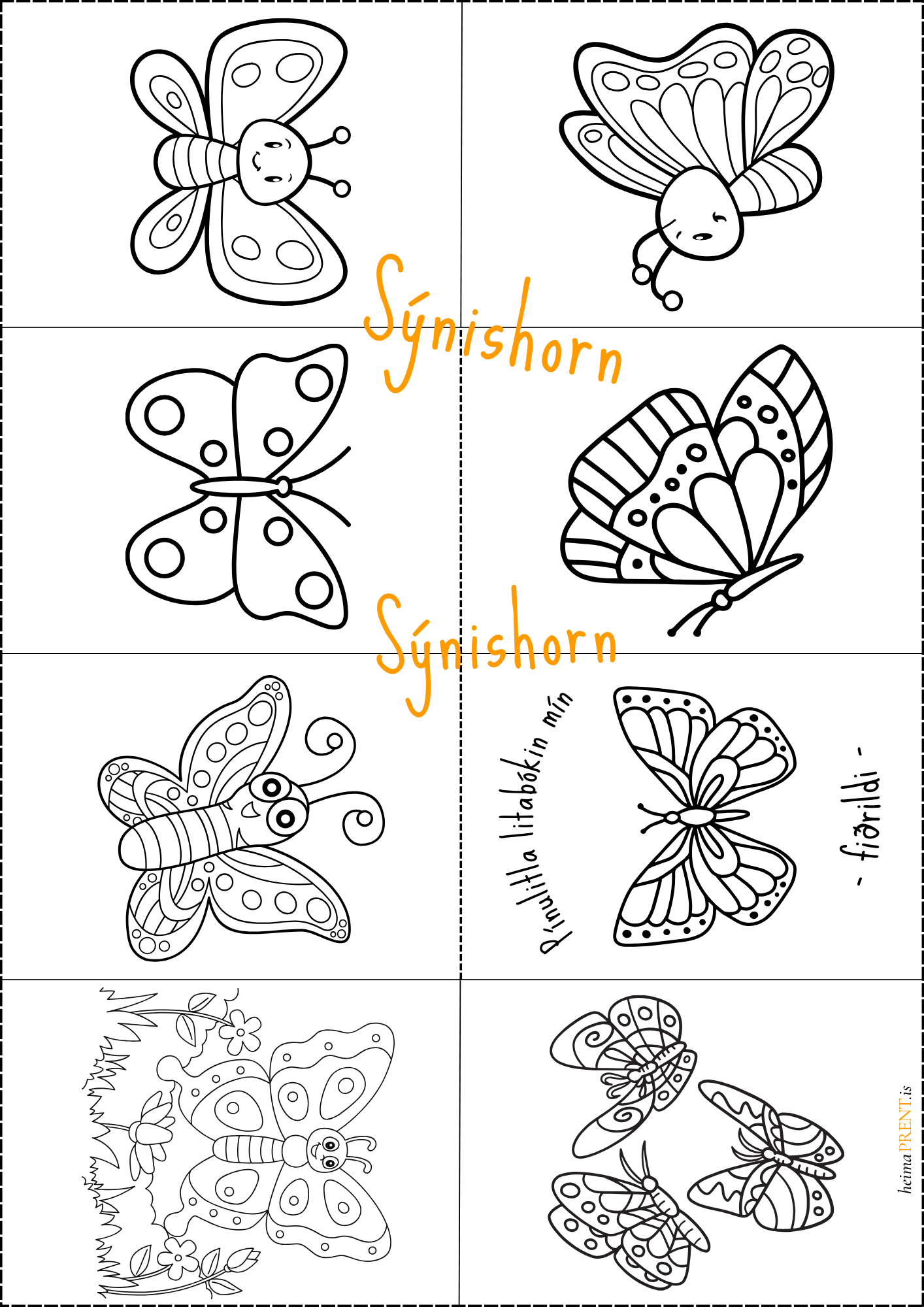 Pínulitla litabókin mín - Fiðrildi